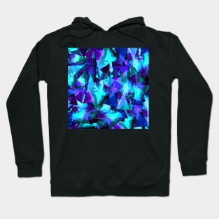 Shards Hoodie